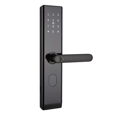 WiFi TTLOCK Fermeture de porte intelligente Biométrique d'empreinte digitale Poignée de porte Fermeture numérique sans clé
