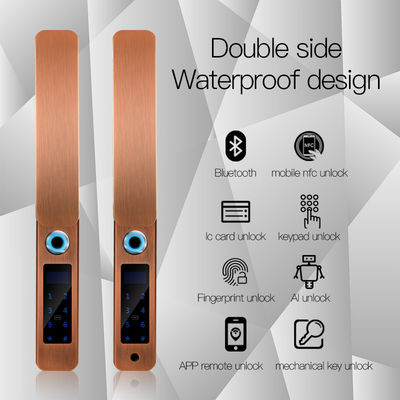 IP68 imperméable à l'eau FPC empreinte digitale Smart Door Lock Bluetooth Antique
