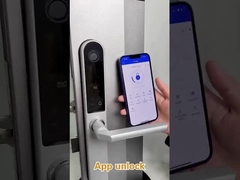 Poids brut 2,5 kg Fermeture à porte à empreinte digitale pour porte d'entrée/porte d'appartement/porte de cour/porte d'hôtel