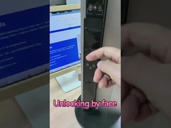 Reconnaissance faciale vidéo œil de chat Smart verrouilleur veine de paume déverrouillage usine chinoise