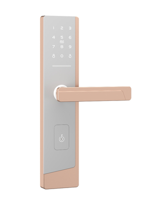 Smart Touchscreen Passcode Door Lock For One Admin And Up To 100 Users