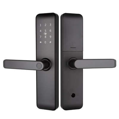 Remote Control Smart Door Lock WiFi Smartphone APP Funciton & Voice Control