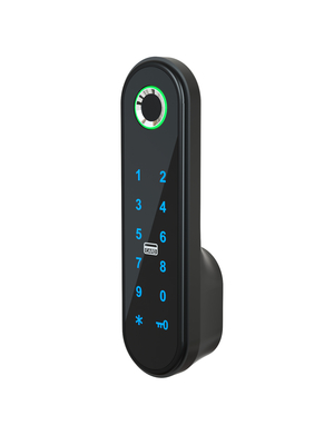 286g Élégance Smart Cabinet Lock/ Code APP Card Cabinet Lock Argent / Noir / Or rose / Or / personnalisé