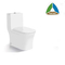 Washdown Flush Bathroom Sanitary Ware One Piece Toilet Low Noise