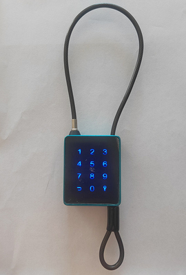 Bloc à clef Bluetooth WiFi extérieur avec câble en acier inoxydable