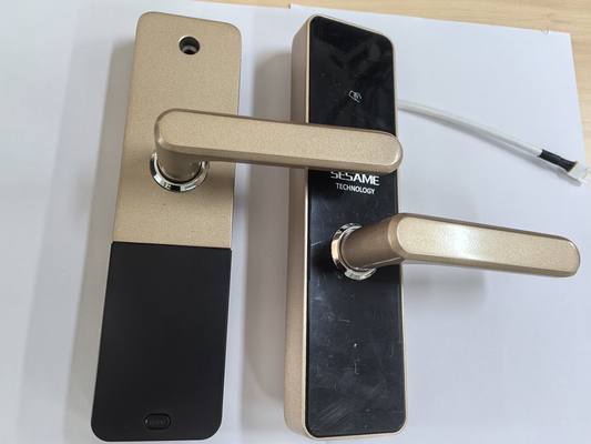 Fermeture de porte Wi-Fi intelligente avec accès à distance et sécurité améliorée