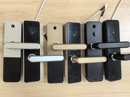Fermeture de porte Wi-Fi intelligente avec accès à distance et sécurité améliorée