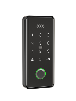 Le mot de passe de l' empreinte digitale et le verrou de l' armoire intelligente avec des vis en alliage de zinc