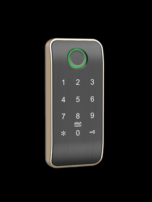Le mot de passe d'accès à l'empreinte digitale Bluetooth Smart Lock For Cabinet
