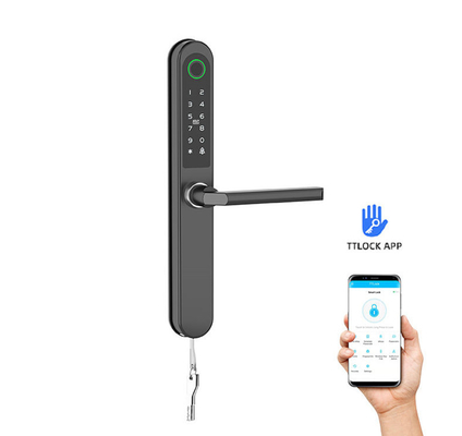 Carte de verrouillage / code / empreinte digitale / APP / Bluetooth / WiFi pour les appartements