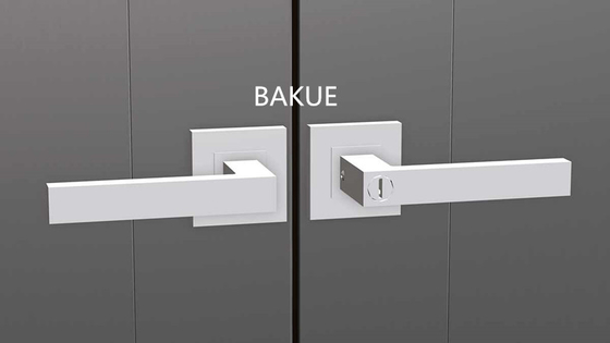 Entrepôt en aluminium haut de gamme Entrepôt à grande capacité Écluse UV résistant aux intempéries Pour une seule porte double Entrepôt extérieur 3 clés incluses