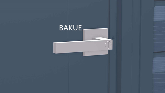 Entrepôt en aluminium haut de gamme Entrepôt à grande capacité Écluse UV résistant aux intempéries Pour une seule porte double Entrepôt extérieur 3 clés incluses