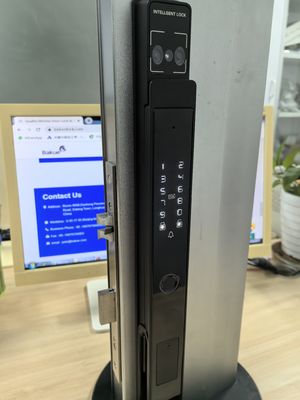 Vidéo œil de chat veine de la paume / face déverrouillage Wifi Smart Lock Aluminium IP65