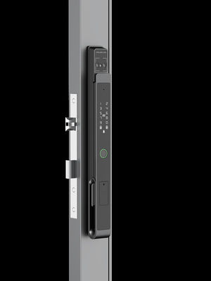 Aluminium Commercial Smart Lock Reconnaissance faciale vidéo œil de chat ouverture de veine de la paume IP65