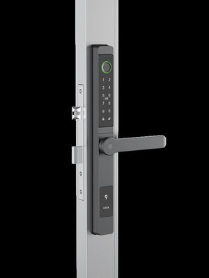 Reconnaissance faciale / Vidéo œil de chat / Fermeture de porte intelligente Palm Vein IP65 aluminium