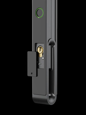 Reconnaissance faciale / Vidéo œil de chat / Fermeture de porte intelligente Palm Vein IP65 aluminium