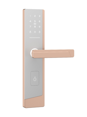 Smart Touchscreen Passcode Fermeture de porte pour un administrateur et jusqu'à 100 utilisateurs