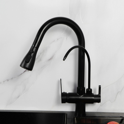Robinet noir d'eau potable de 3 manières avec de l'eau filtré H410 XW225mm