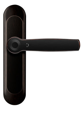 L'empreinte digitale intelligente ROHS Bluetooth verrouillage de porte AI voix poignée en alliage de zinc